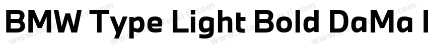 BMW Type Light Bold DaMa BMWType Bo字体转换